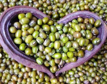Selective focus of mung beans inside a purple sea heart pod and overflowing Stock Photos