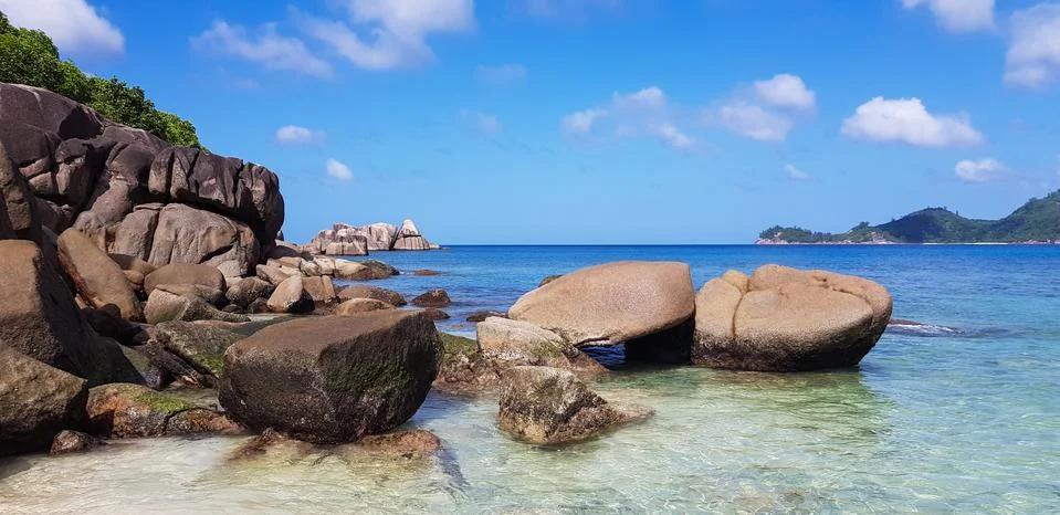 Selective focus, nature with palm trees on the island Stock Photos