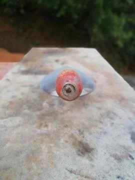 Selective focus on an object(trowel)blur background Foto stock