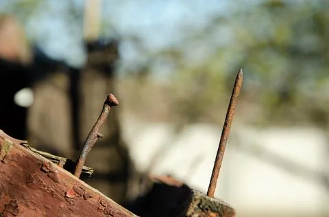 Selective focus old rusty nails sticking out of old wood. Stock Photos