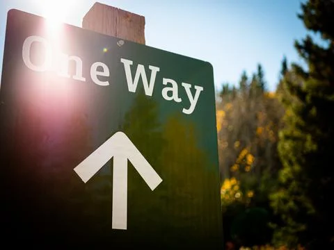 A selective focus of a one way with arrow up sign in a park under a bright su Stockfoto's