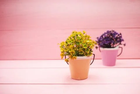 In selective focus of orange ceramic pot with green small plant,put on pink w Stock Photos