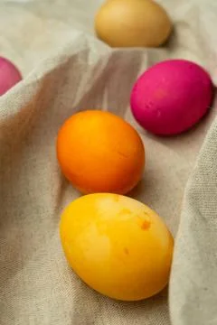 Selective focus. Painted chicken eggs Stock Photos