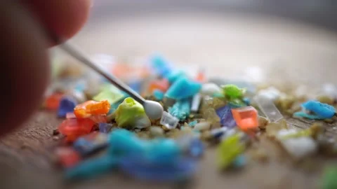 Selective focus of a person examining micro plastics with a needle. Stock Footage 166973215