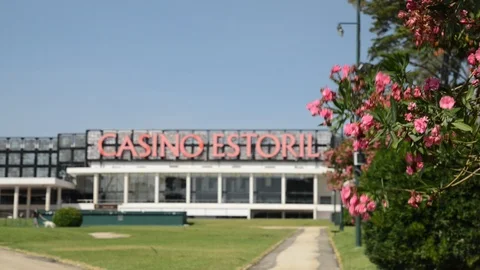 Selective focus on pink flower foreground with defocused facade of the Casino Stock Footage 94499602