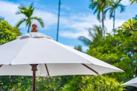 Selective focus point on umbrella with coconut palm tree on the background fo Foto stock