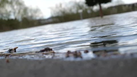 Selective focus of a pond. close-up of waves in slow motion. water level camera Stock Footage 270712150