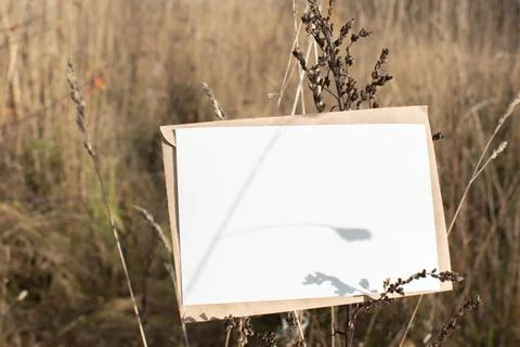 Selective focus Postcard layout on the background of autumn grass with a plac Stock Photos