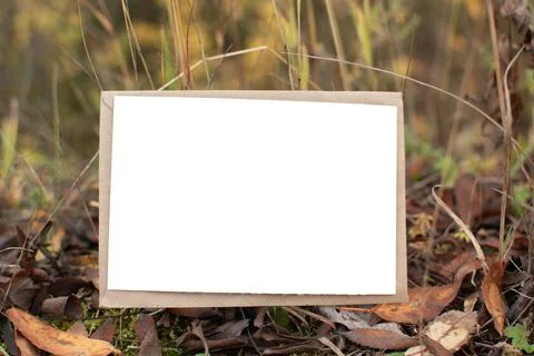 Selective focus Postcard layout on the background of autumn grass with a plac Stock Photos
