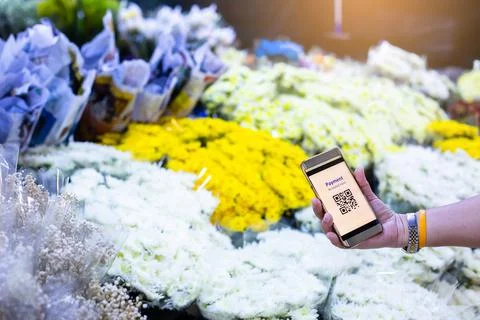 Selective focus to QR Code tag on smart phone in hand of customer with blurry Stock Photos