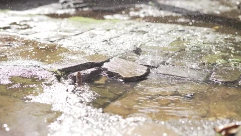 Selective focus rain drop on home terrace facade backyard Stock Footage 262444694