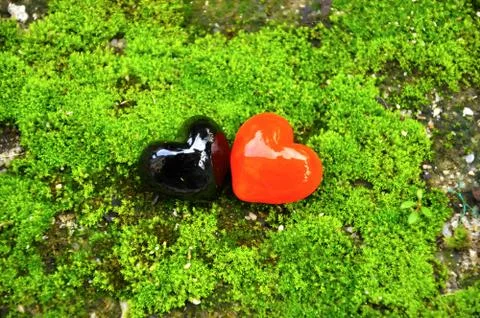 Selective focus of red and black marbles hearts on a green moss Foto stock