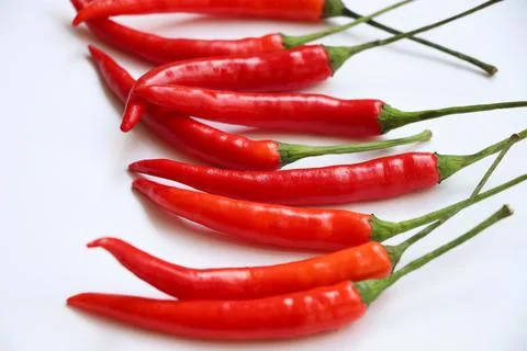 Selective focus at red chili fresh organic on isolated background Stock Photos