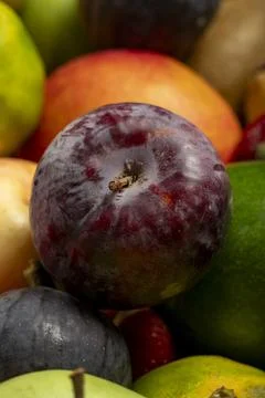 Selective focus red plums. Fresh fruits. Colorful fruit background Stock Photos