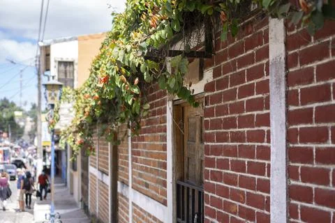 Selective focus of the road view from perspective with focus on the brick apa Stock Photos