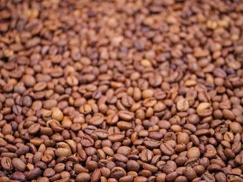 Selective focus on roasted brown coffee beans Stock Photos