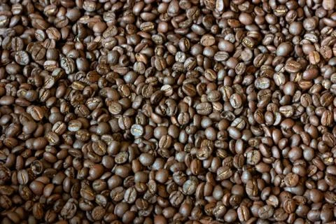 Selective focus roasted coffee beans background Photos
