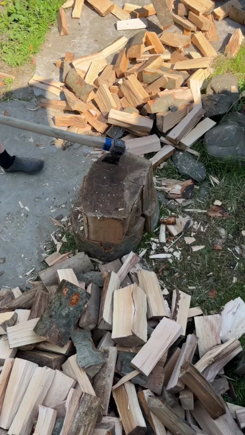 Selective focus rural worker preparing firewood Stock Footage 335589329