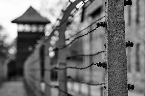 Selective focus on rusted barbed wire and concrete posts with wooden guard to Stockfoto's