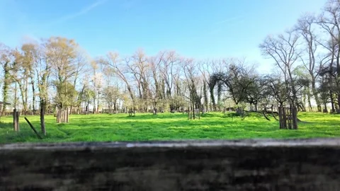 Selective focus on a rustic wooden fence with a blurred green field. Vídeos de archivo 333205866