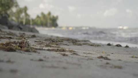 Selective focus on sand and seaweed, unfocused waves Stock Footage 232804492
