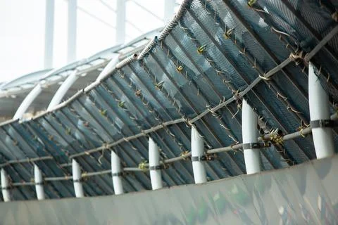 Selective focus to scaffolding pipe with mesh 스톡 사진