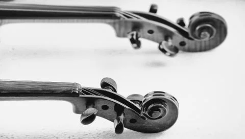 In selective focus of Scroll and Pegbox of violin,vintage and art tone,blurry 스톡 사진