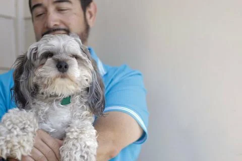Selective focus shot of a Hispanic man holding a cavapoo puppy Fotos de archivo