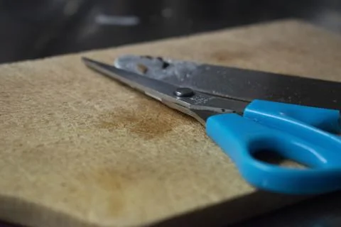 Selective focus shot of kitchen scissors with blue handles on a wooden board Stock Photos