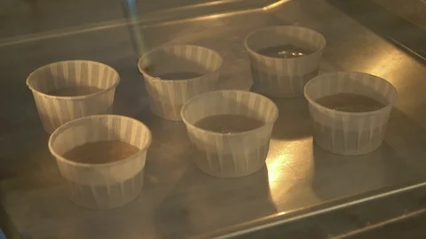Selective focus shot of muffins baking, time-lapse Stock Footage 86766100