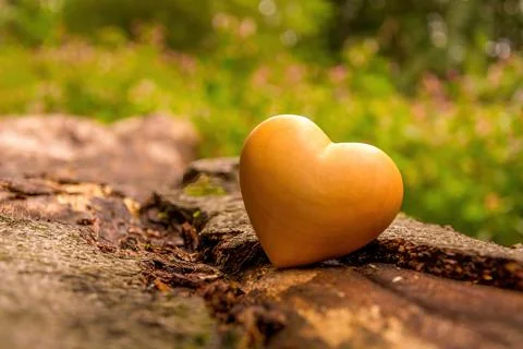 Selective focus shot of a smooth brown heart-shaped rock on a log in a garden Stock Photos