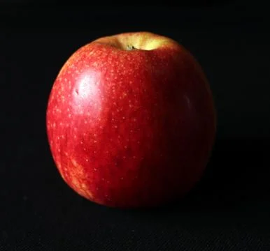 Selective focus on Single red royal gala apple against black background,Scien Photos