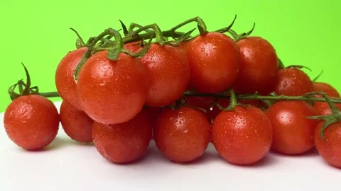 Selective focus on single tomato.Tomatoes with water drops. A bunch of wet Stock Footage 237546250