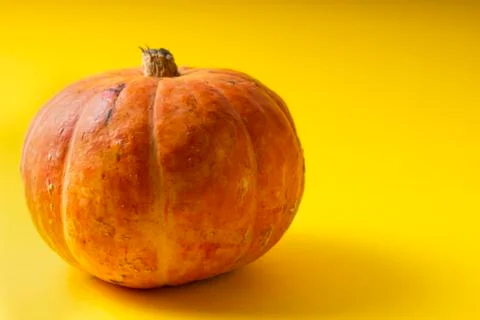 Selective focus. a small orange fresh pumpkin Stock Photos