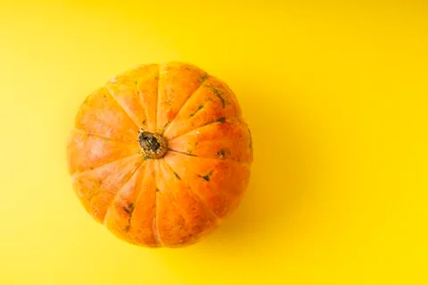 Selective focus. a small orange fresh pumpkin Foto stock