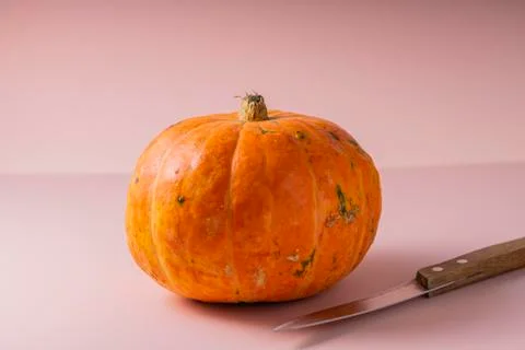 Selective focus. a small orange fresh pumpkin Foto stock