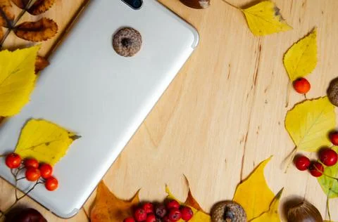 Selective focus smartphone, yellow, red, green, brown autumn leaves. Stock Photos
