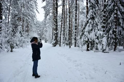 Selective focus, snow-covered big forest. Russia, Leningrad region Stock Photos