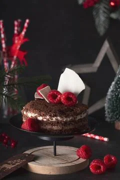 Selective focus. sponge cake three chocolate Foto stock