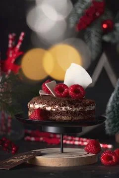 Selective focus. sponge cake three chocolate Stock Photos