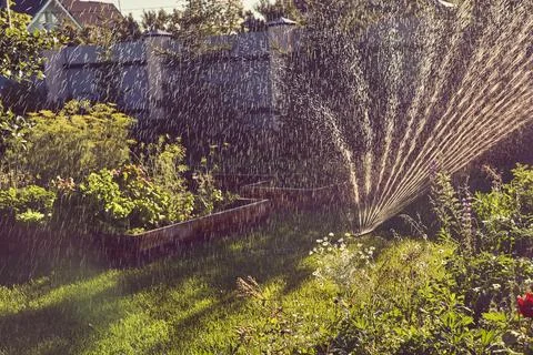 Selective focus on a spray irrigation system in the garden on a sunny summer day Stock Photos