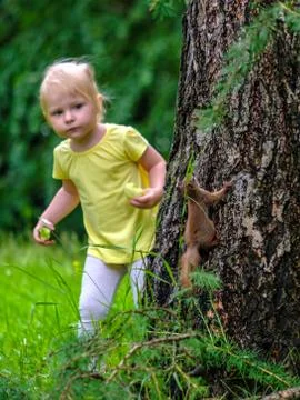 Selective focus on squirrel on a tree. Little toddler girl looks at a squirrel. Stock Photos