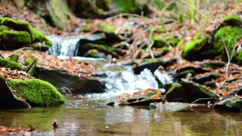 Selective focus stream waterflow calm relaxing slowmotion video Stock Footage 255292622