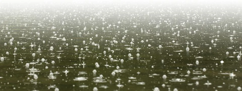 Selective focus strong rain with bubbles on the green forest lake Stock Photos