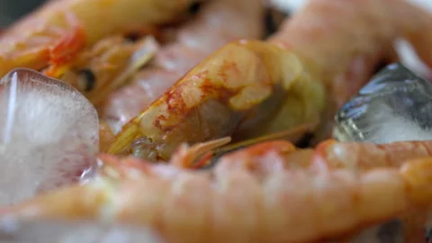 Selective focus to the succulent tasty meat of a cooked prawn Stock-Footage 159003468