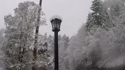 Selective focus on a tall, dark lamp post during a snow storm in the pacific Stock Footage 122862130