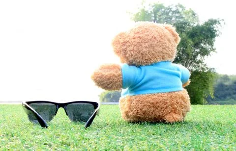 Selective focus at Teddy bear sitting on the grass with sunglasses . Concept  Foto stock