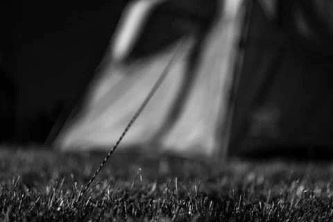 Selective focus on tent support rope leading up to the canvas to secure in-place Foto stock
