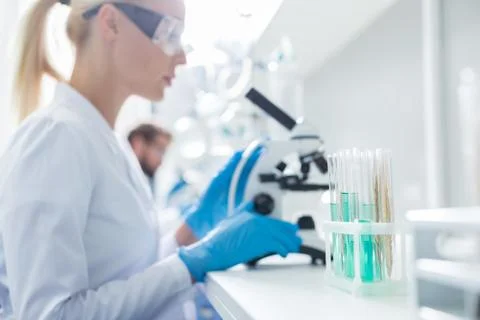 Selective focus of test tubes standing in the rack Stock Photos