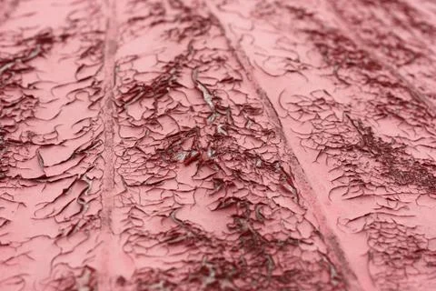 Selective focus of texture of red umbrella close up Stock Photos